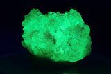 Extremely Fluorescent Botryoidal Hyalite Opal - Nambia #283777-1